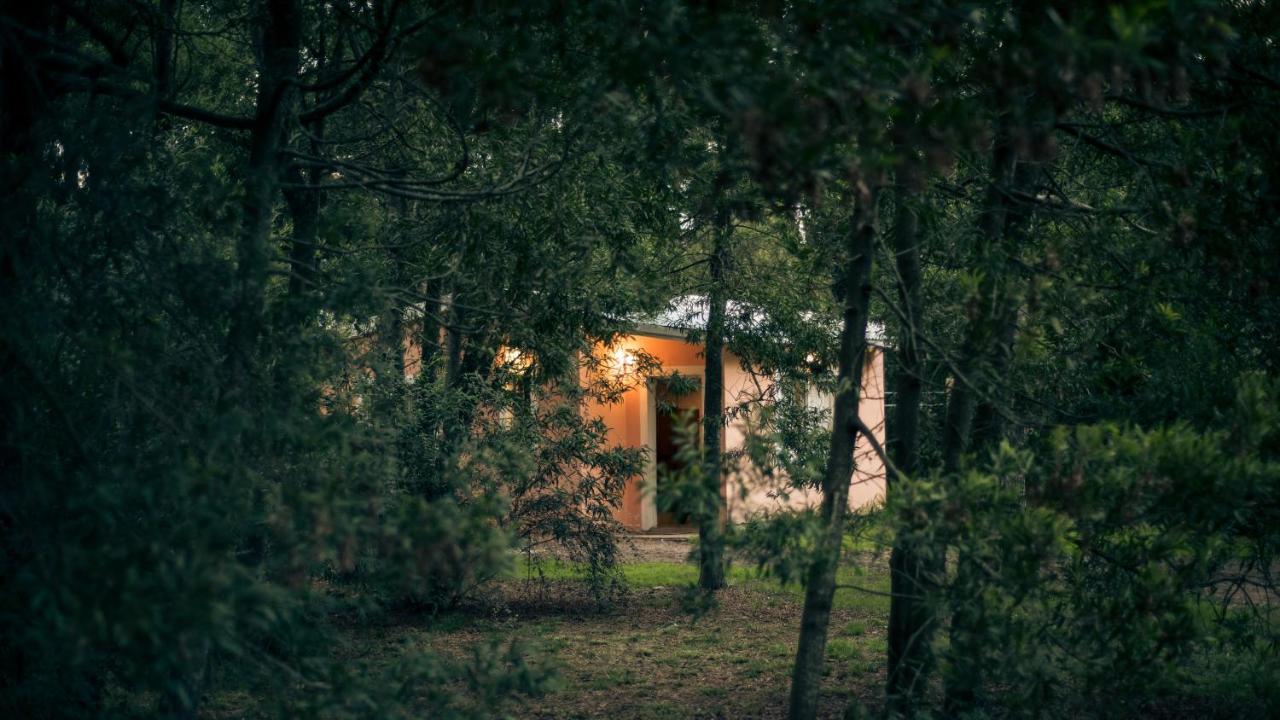 Nomeolvidesmas Lejlighed Tandil Eksteriør billede